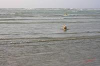 Cjp_2010_04_14_174214 (1).jpg